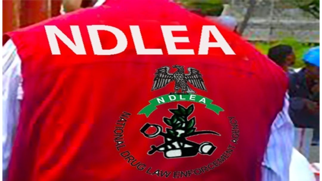 NDLEA Busts N3.9bn Tramadol Smuggling Ring, Arrests Indian Businessman, Three Nigerians at Lagos Airport