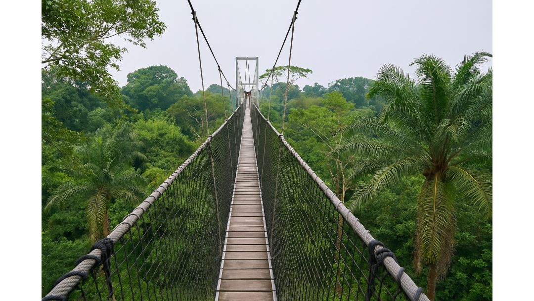 Lekki Conservation Centre – Àyè Isinmi Aládàáṣiṣẹ̀ ní Lagos