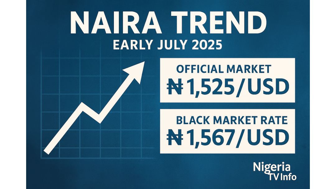 Naira Na-esi Ike – Ihe Na-egosi Nchekwube Ahịa Na Naịjirịa