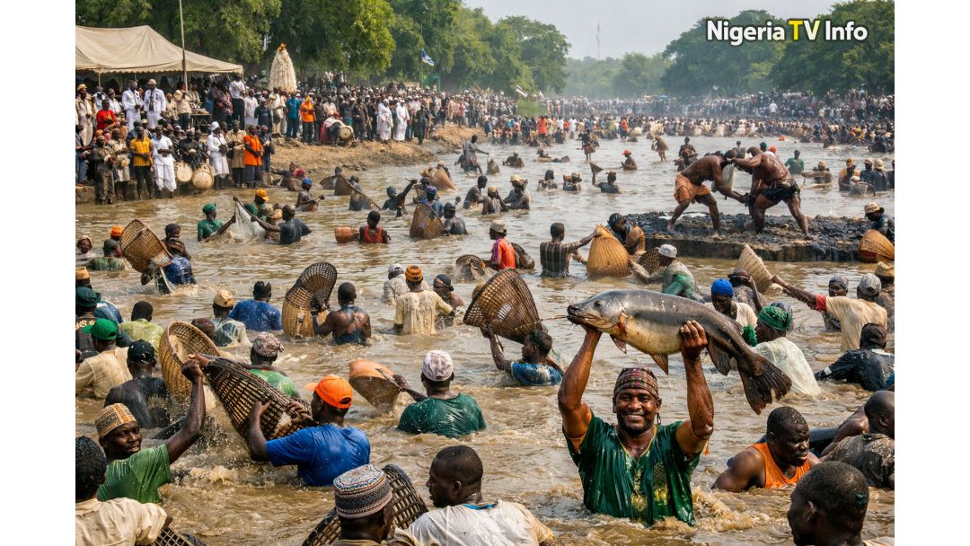 Emume Ịkụ Azụ Argungu Laghachiri Mgbe Afọ Ole Na Ole Gasịrị