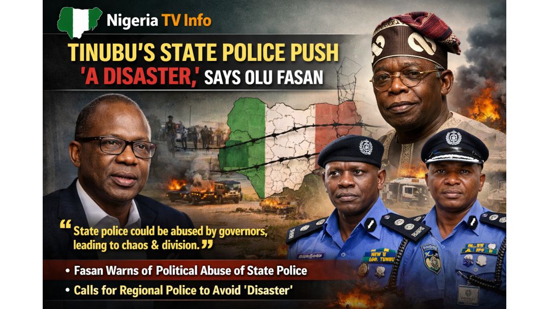 State Police Push Could Push Nigeria to the Brink — Columnist Olu Fasan Warns