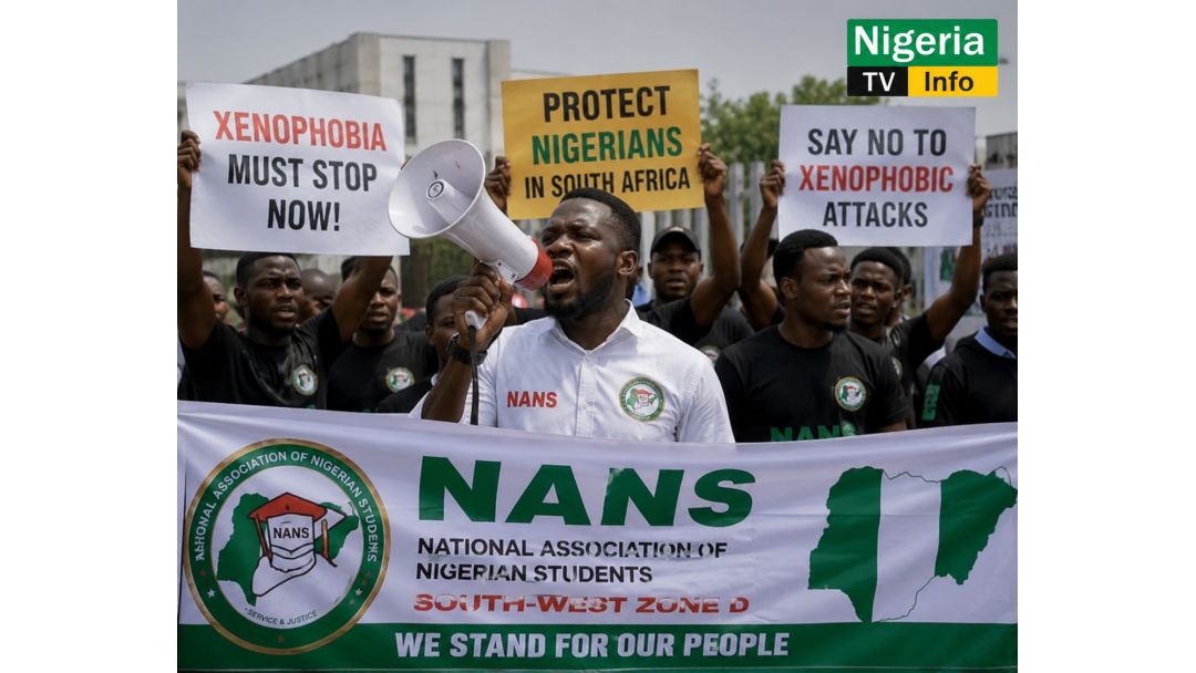 Xenophobic Attacks: NANS Threatens Protest Against South African Firms in Nigeria