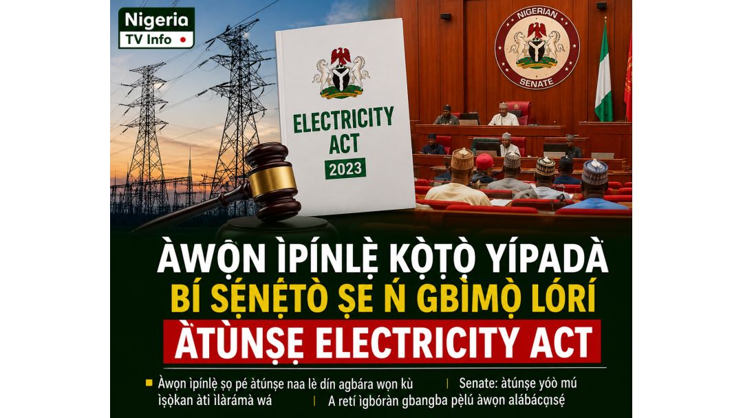 Featured image: States Kick as Senate Moves to Amend Electricity Act