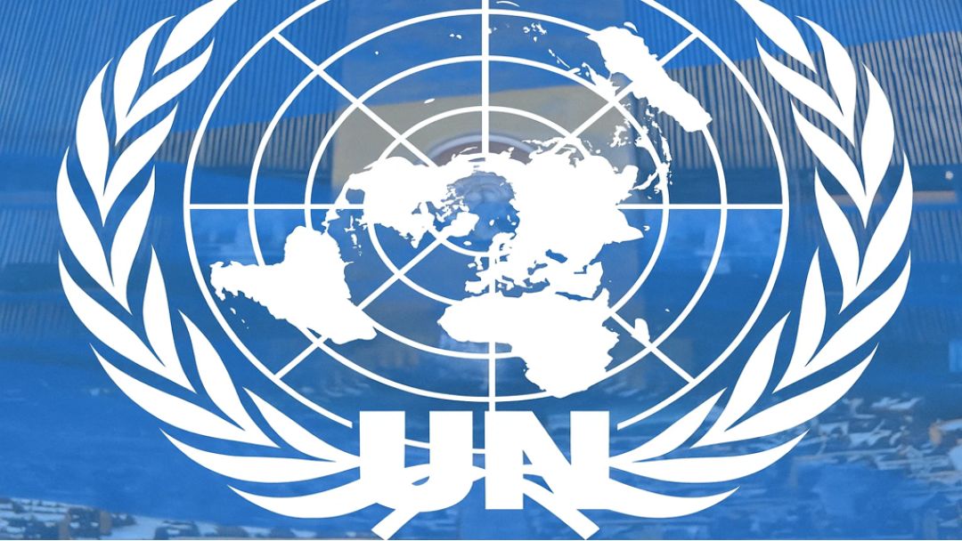 UN Report Opposes Trans Ideology: Calls for Ban on Gender Changes in Children, Cites Discrimination Against Women