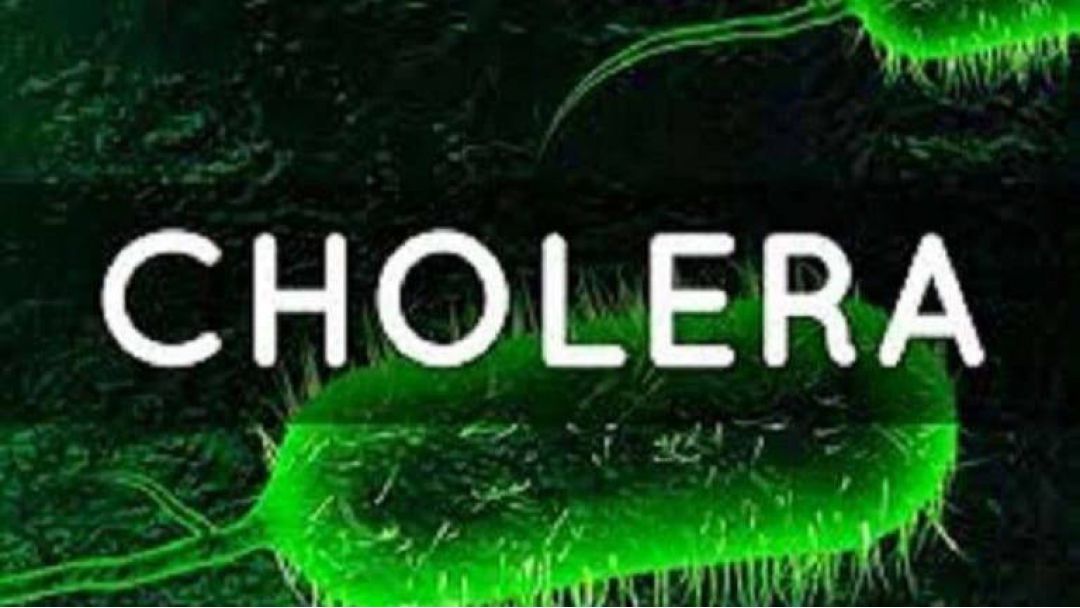 Cholera: Death toll rises to 16 in Niger as 150 cases test positive