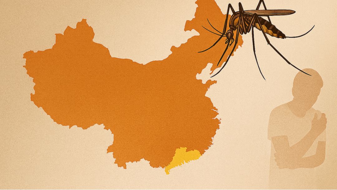 Ọrịa Chikungunya Kasị Ibu Na China – Ihe Karịrị 7,000 Nwere Ọrịa, A Na-eme Iwu Ike