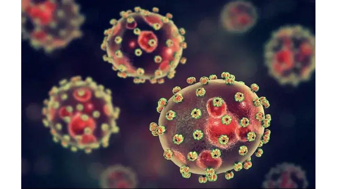 Lassa fever death toll rises, NCDC urges states to intensify response